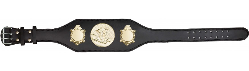 MMA CHAMPIONSHIP BELT-BUD003/G/MMAG-4 COLOURS